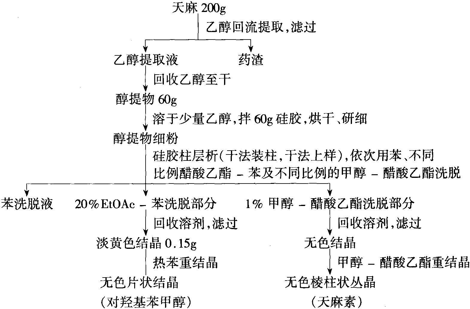 天麻